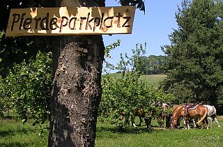 Pferdeparkplatz am Gasthaus Goldener Apfel Langenwolmsdorf